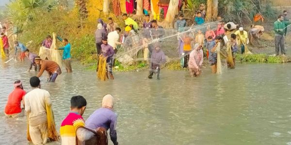 সিংড়ায় ৮২ বছরের পুরনো মাছ ধরা উৎসব